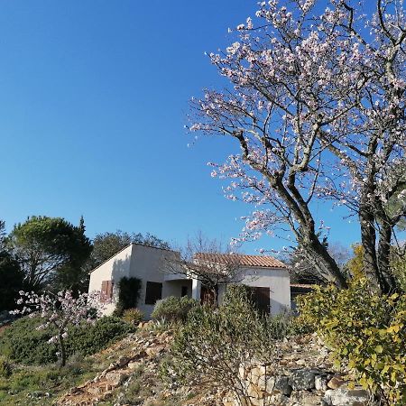 Les Romarins Villa Saint-Jean-de-Minervois Dış mekan fotoğraf