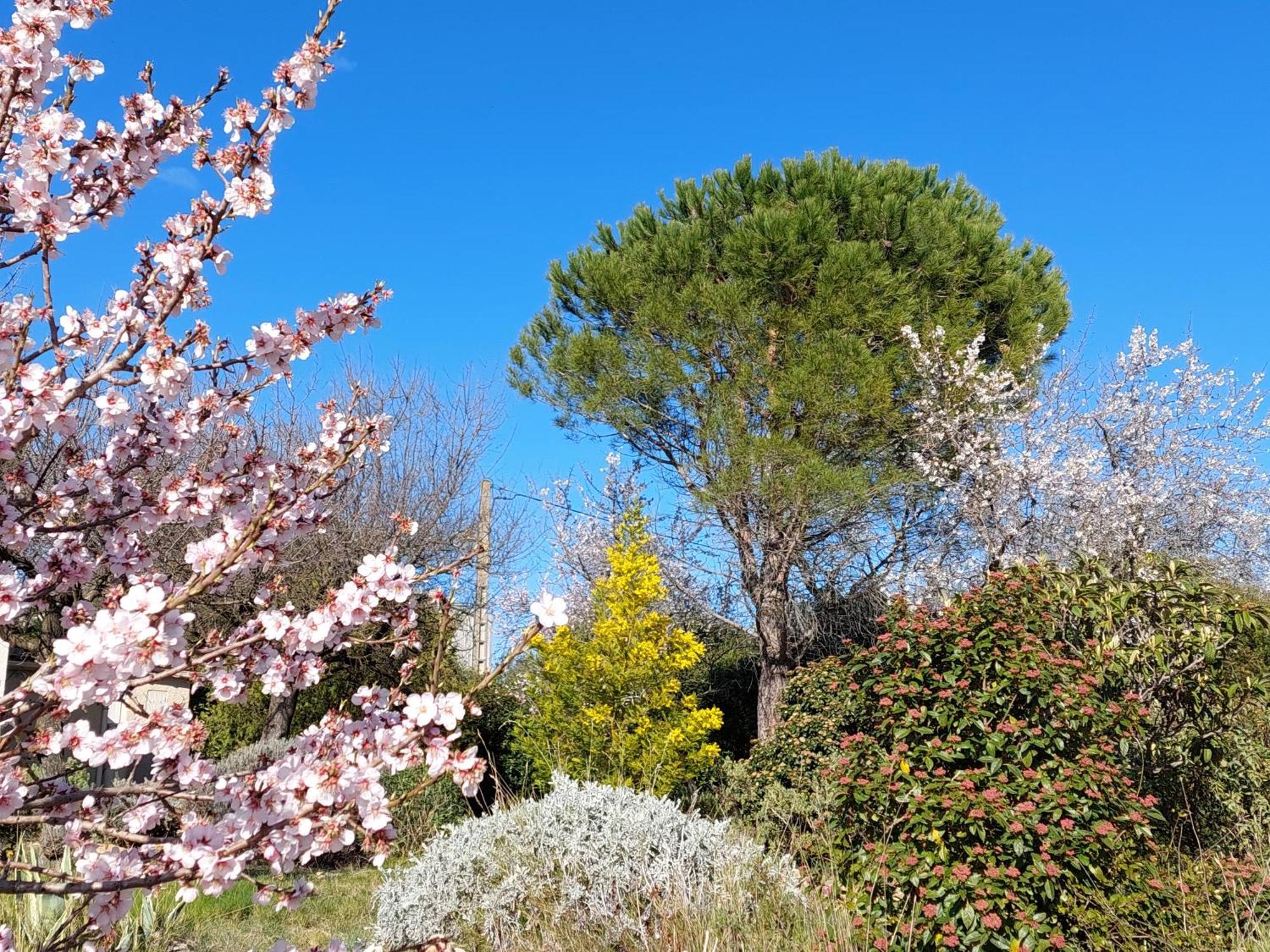 Les Romarins Villa Saint-Jean-de-Minervois Dış mekan fotoğraf